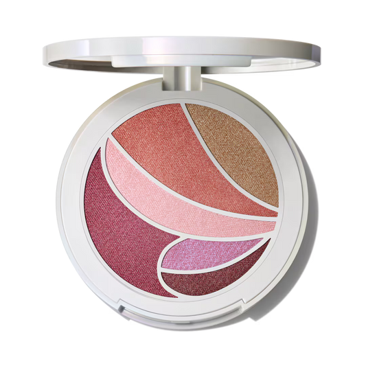 MAC Cosmetics Metamorphosis Face & Eye Palette